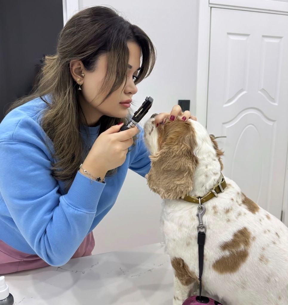 Veteriner Hekim Gökçe Dağ